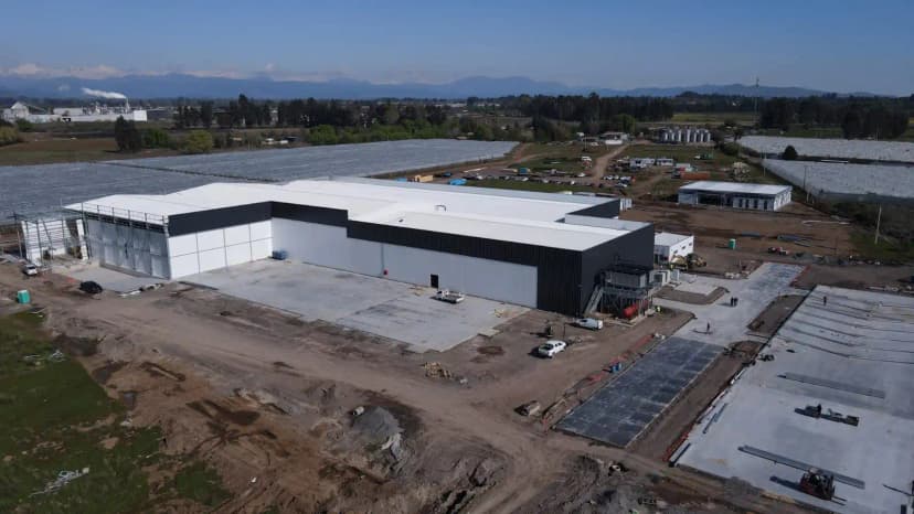 Planta de proceso propia