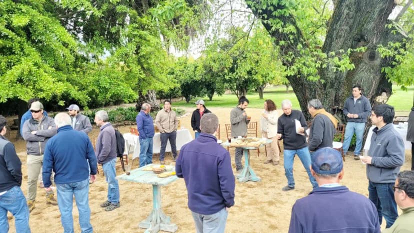 Días de campo