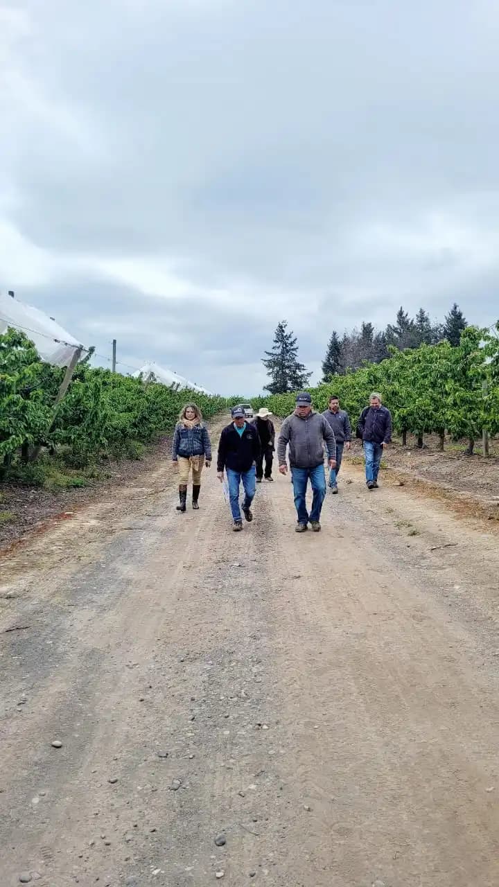 Días de campo