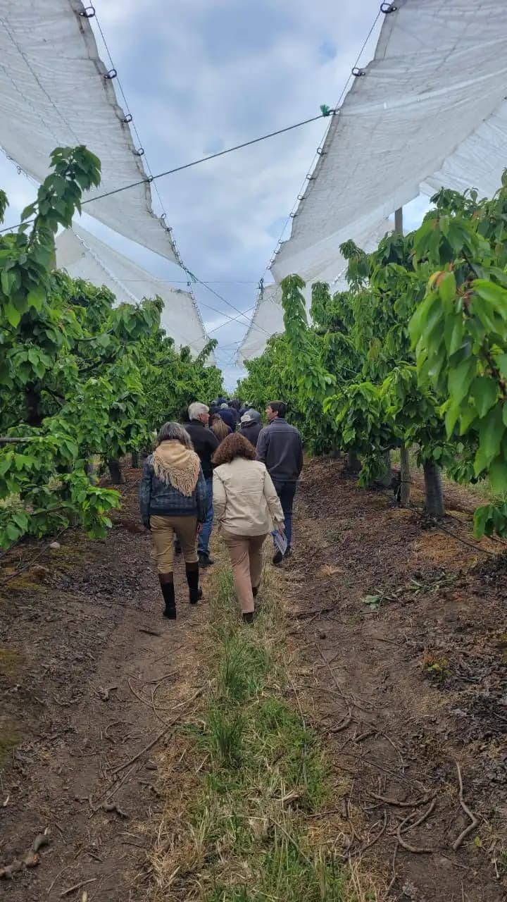 Días de campo