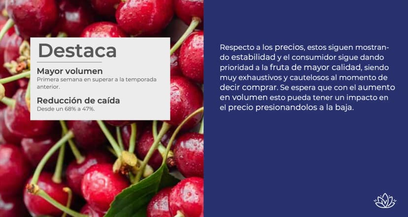 Reportes de mercado