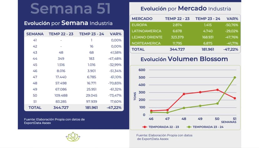 Reportes de mercado