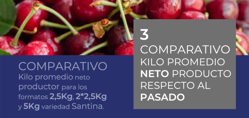Reportes de mercado