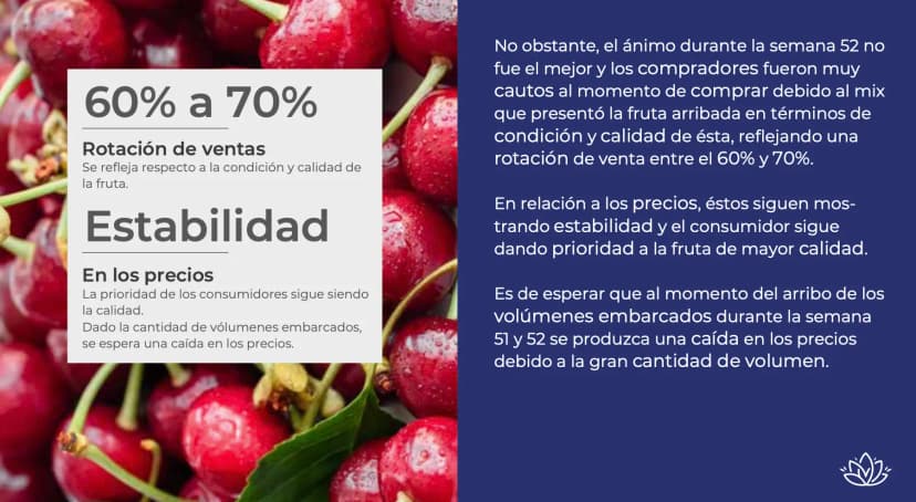 Reportes de mercado