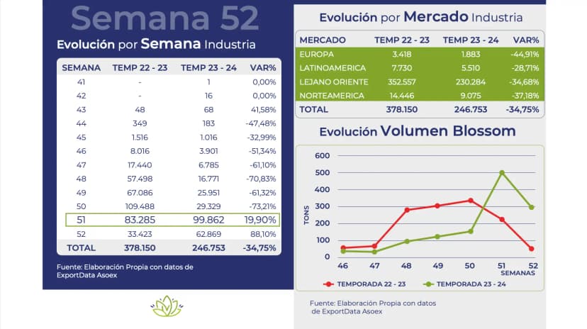 Reportes de mercado