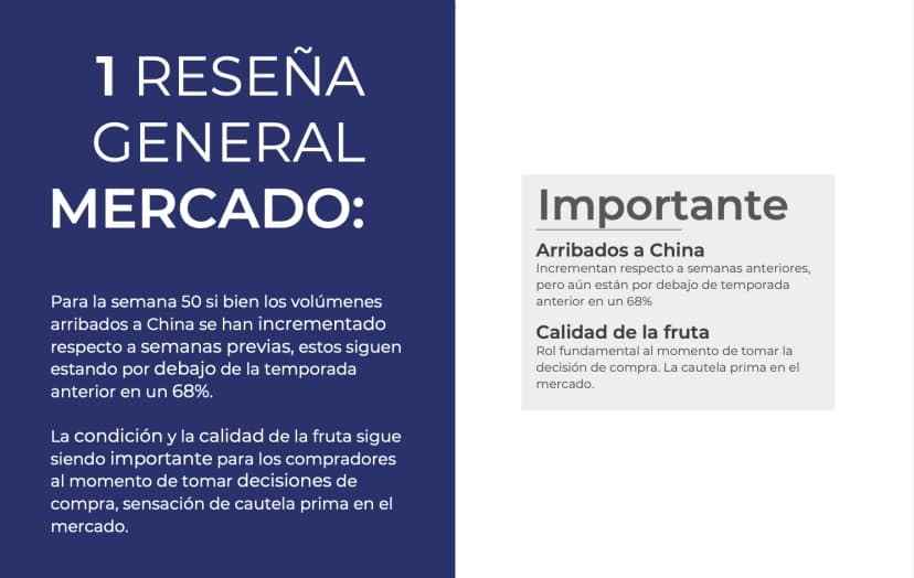 Reportes de mercado