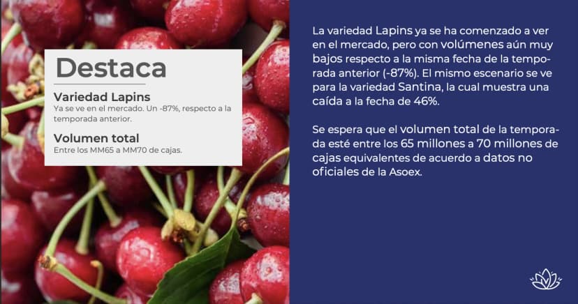 Reportes de mercado
