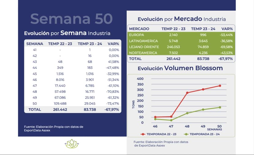 Reportes de mercado