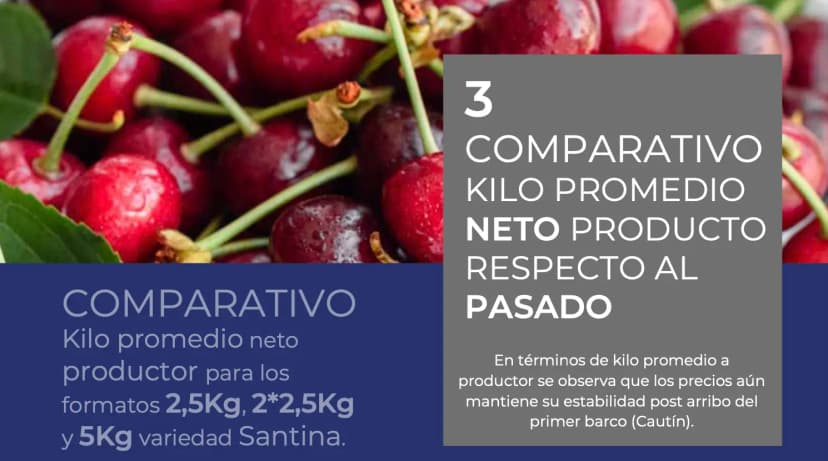 Reportes de mercado