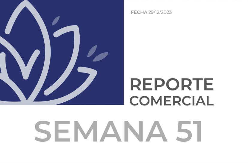 Reportes de mercado