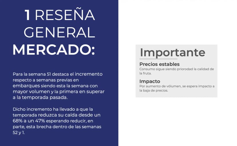 Reportes de mercado
