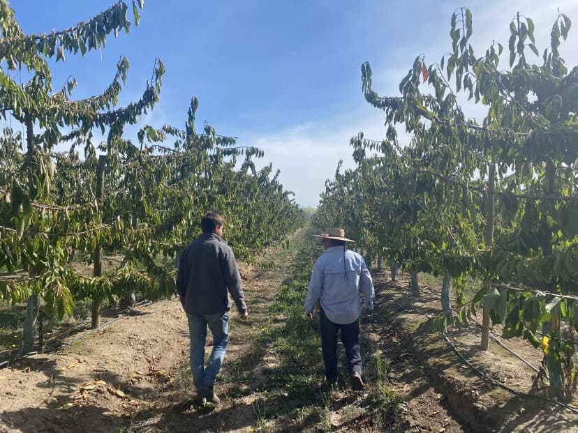 Visitas a productores