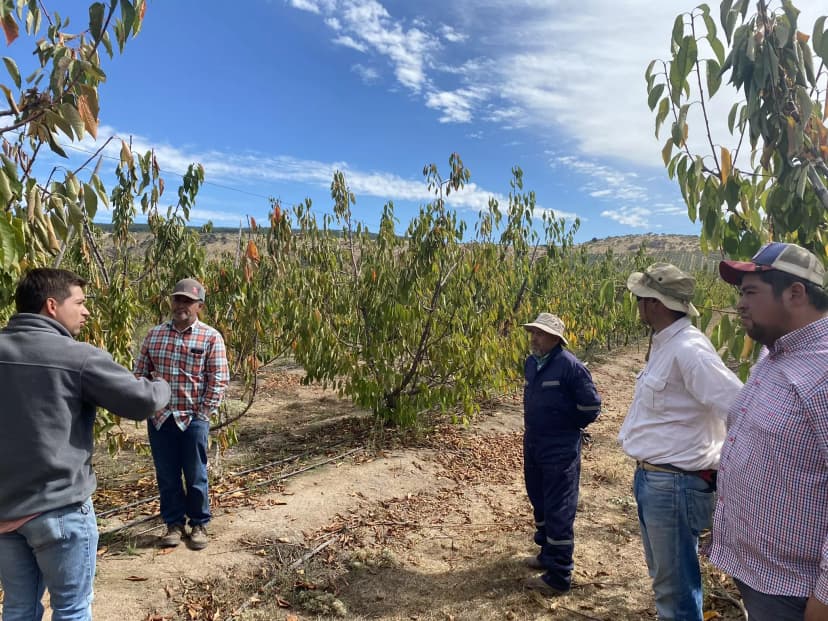 Visitas a productores