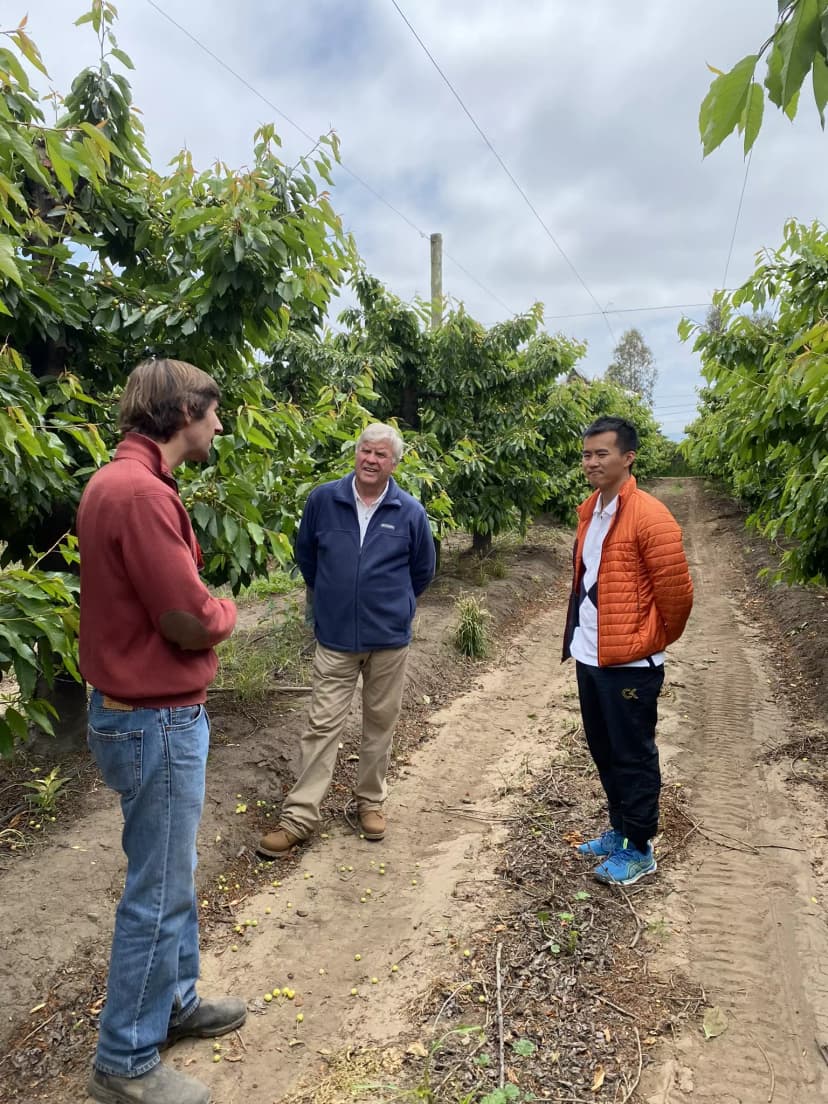 Visitas a productores